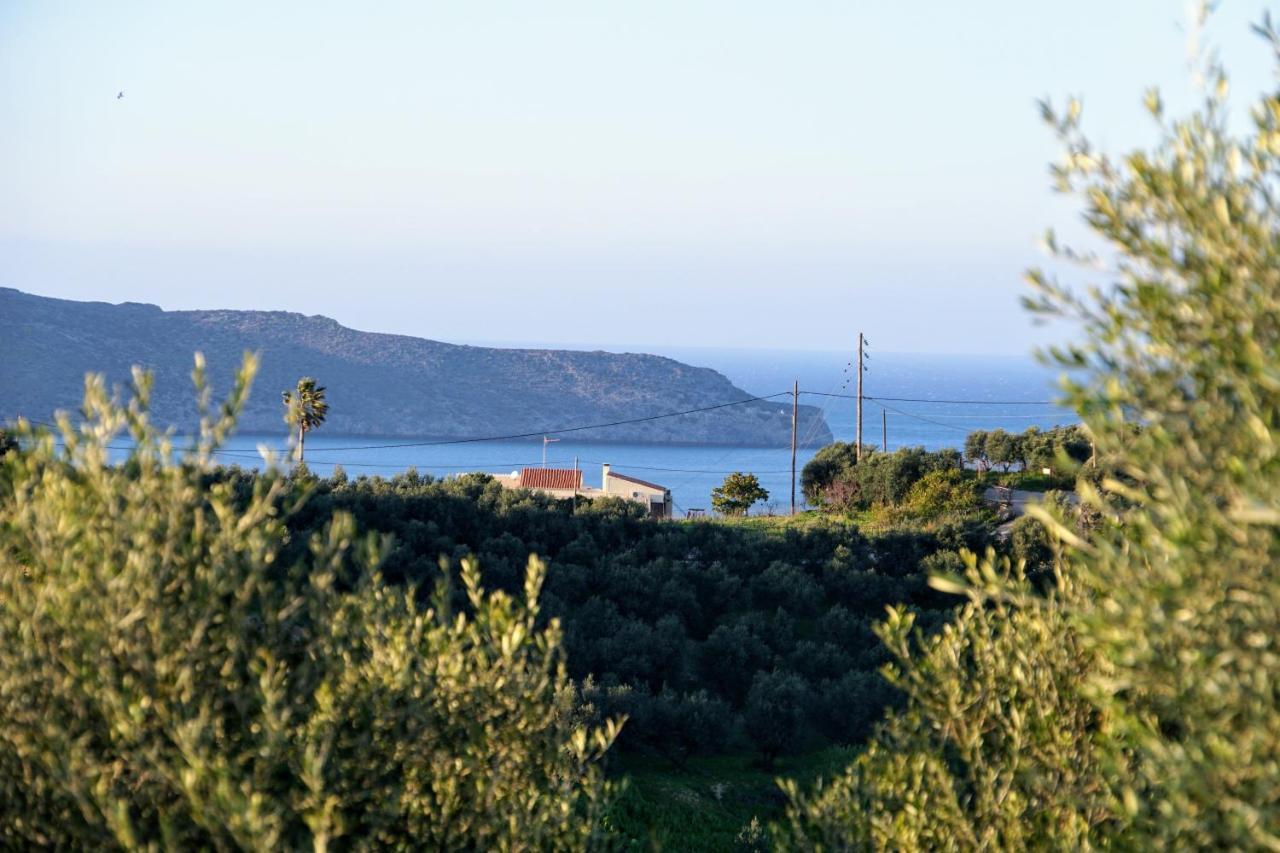 Olive Tree Hillside Apartment Stalós Екстериор снимка