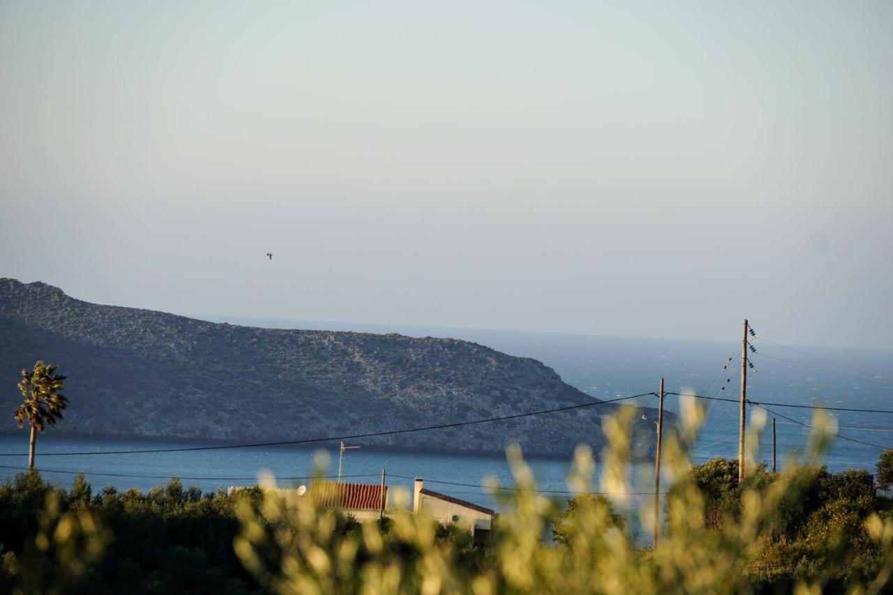 Olive Tree Hillside Apartment Stalós Екстериор снимка
