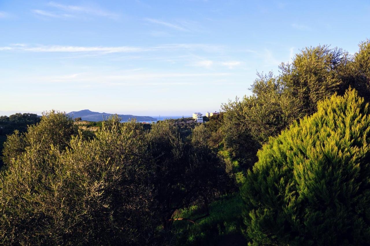 Olive Tree Hillside Apartment Stalós Екстериор снимка